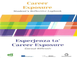 The Career Exposure Experience amp Reflective Logbooks