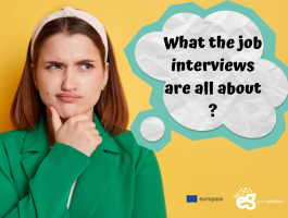 “What the job interviews are all about “- a series of webinars for career counsellors