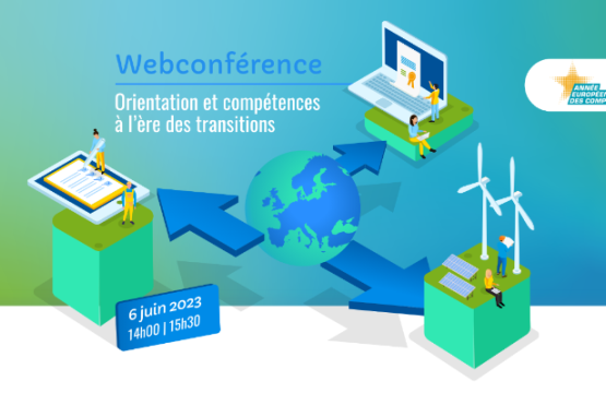 Web conference: Guidance and skills in the context of transitions