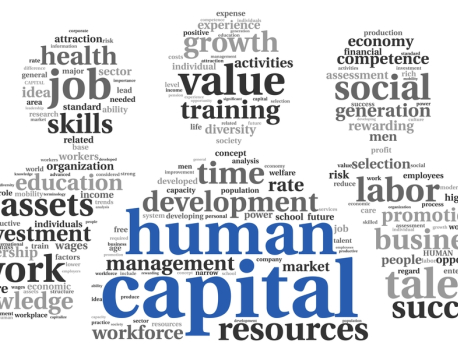 Human capital theory - The value and importance of people to organisational success