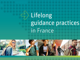 Lifelong Guidance Practices in France
