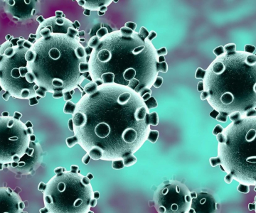 Why a social justice informed approach to career guidance matters in the time of coronavirus